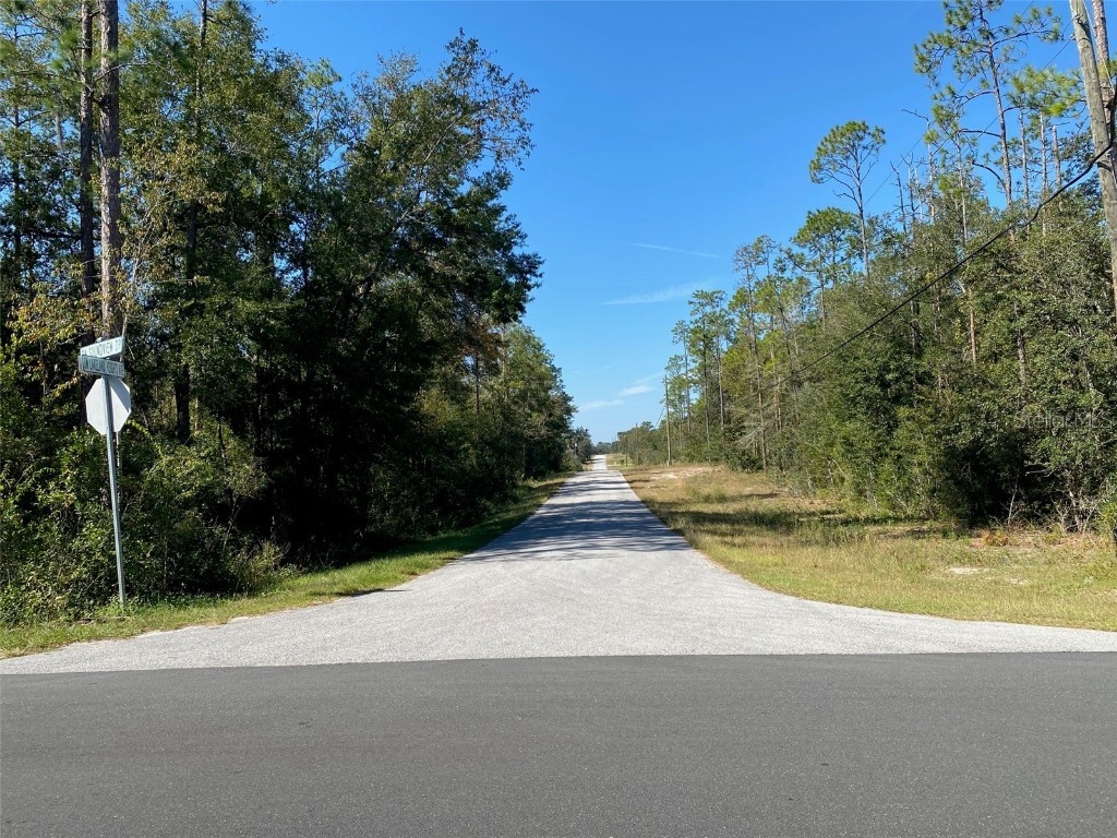 TBD Lakeland Heights Avenue Dunnellon FL 34431 OM709053 image1