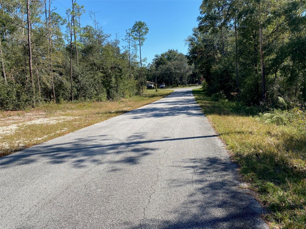 TBD Lakeland Heights Avenue Dunnellon FL 34431 OM709053 image2
