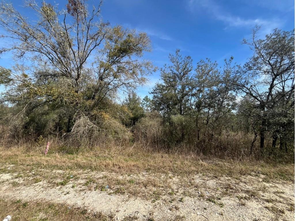 TBD Lakeview Trail Interlachen FL 32148 OK223871 image1