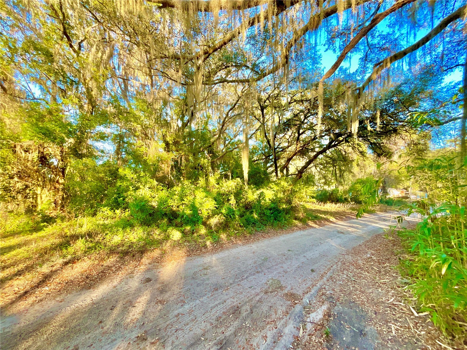 TBD Lakeview Way Interlachen FL 32148 O6374826 image1