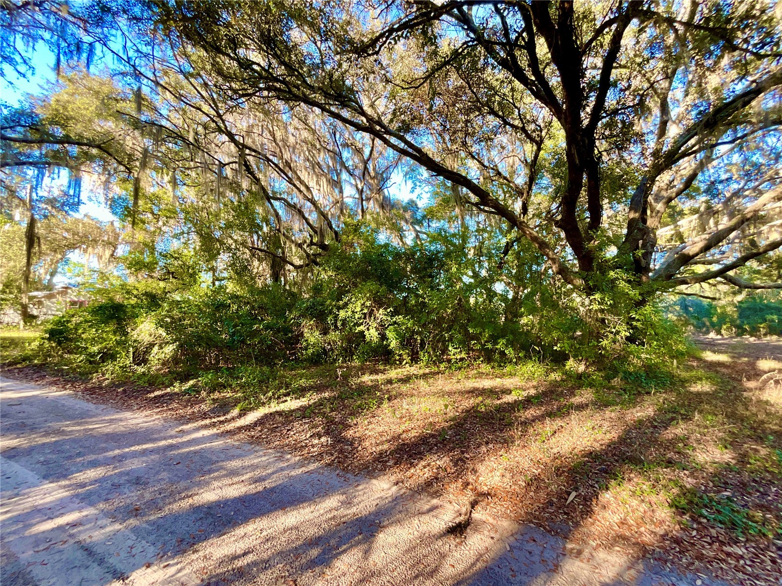 TBD Lakeview Way Interlachen FL 32148 O6374826 image3