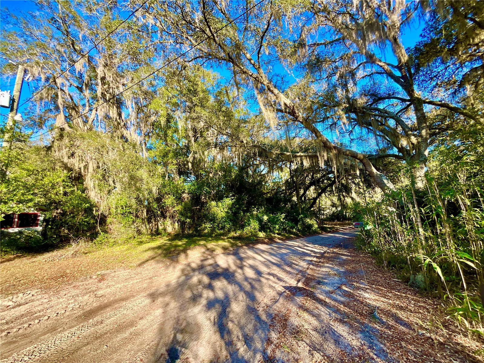 TBD Lakeview Way Interlachen FL 32148 O6374826 image4