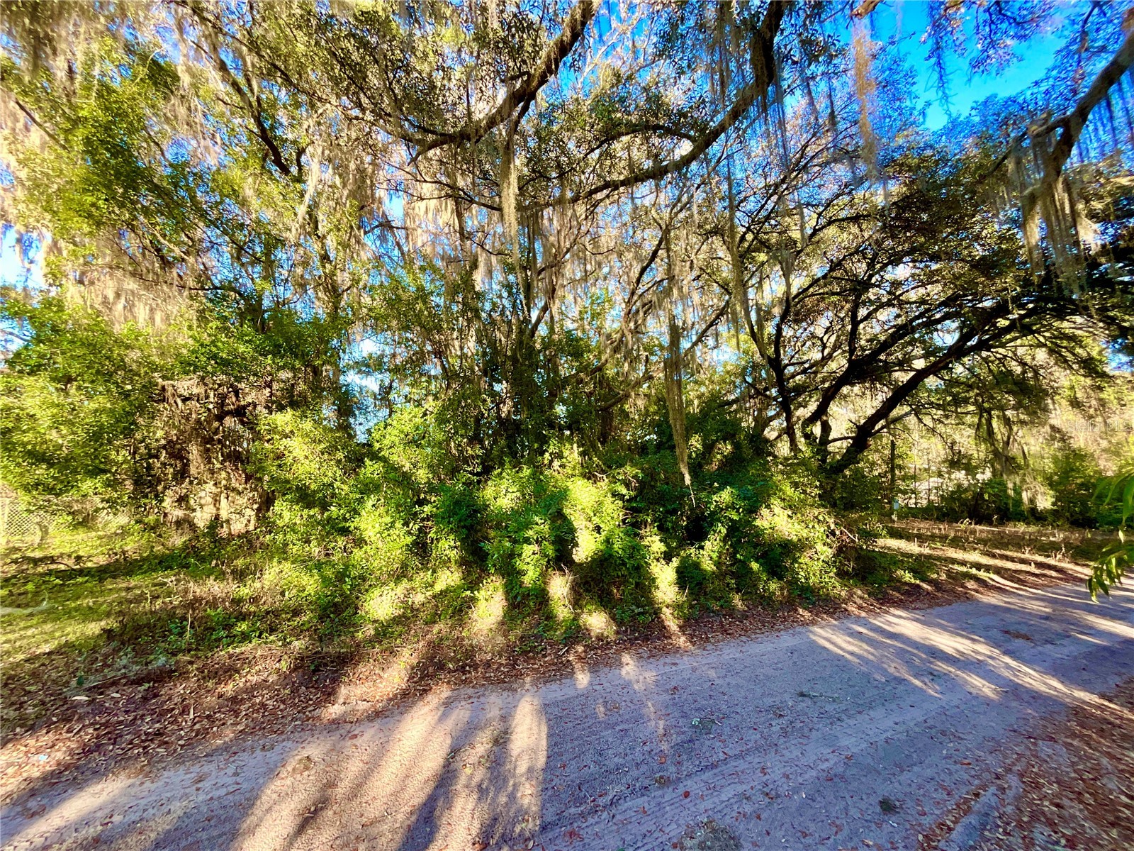 TBD Lakeview Way Interlachen FL 32148 O6374826 image5