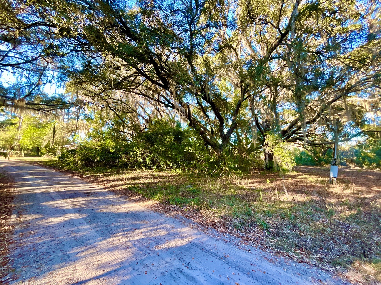 TBD Lakeview Way Interlachen FL 32148 O6374826 image6