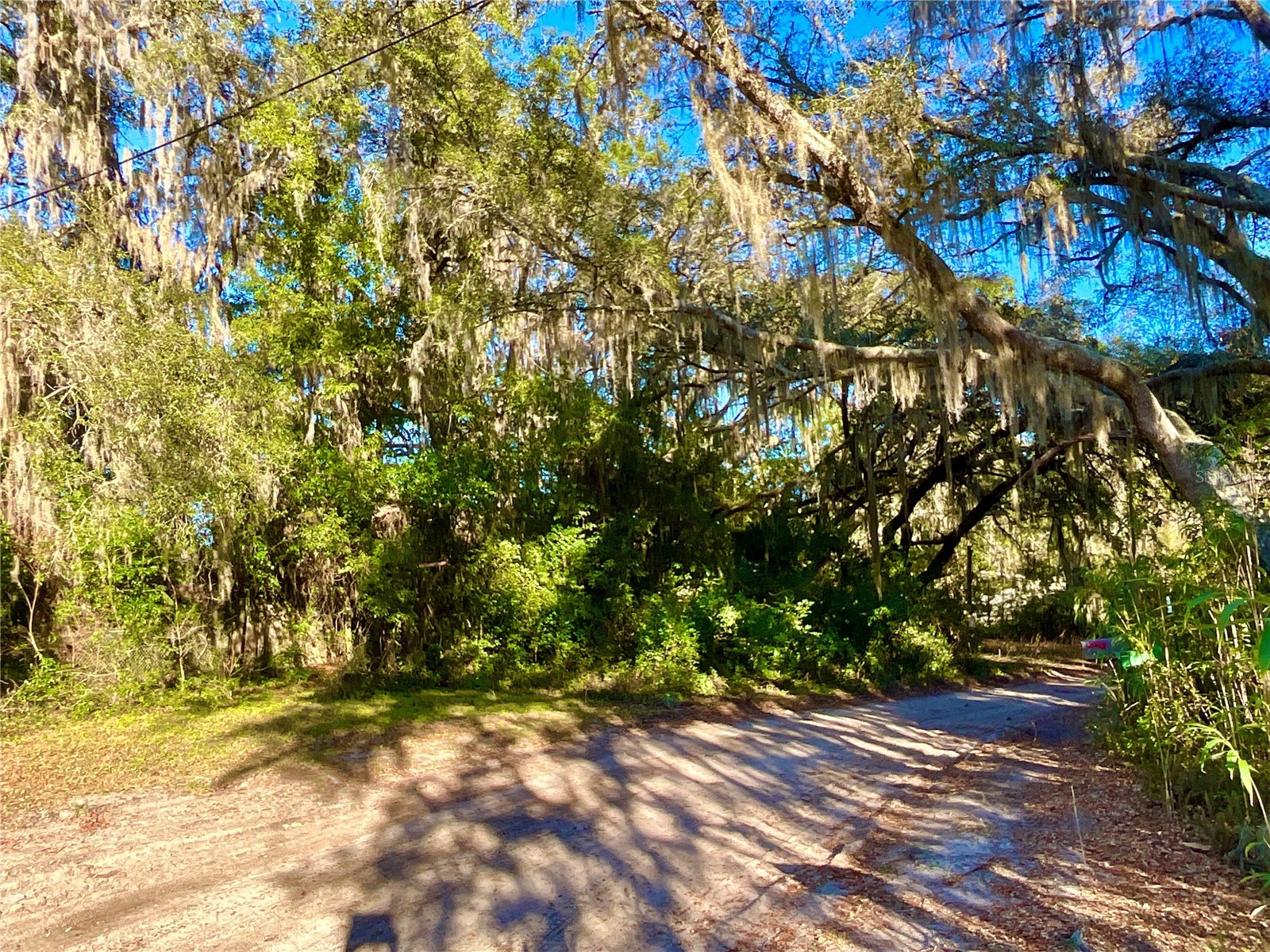 TBD Lakeview Way Interlachen FL 32148 O6374826 image7