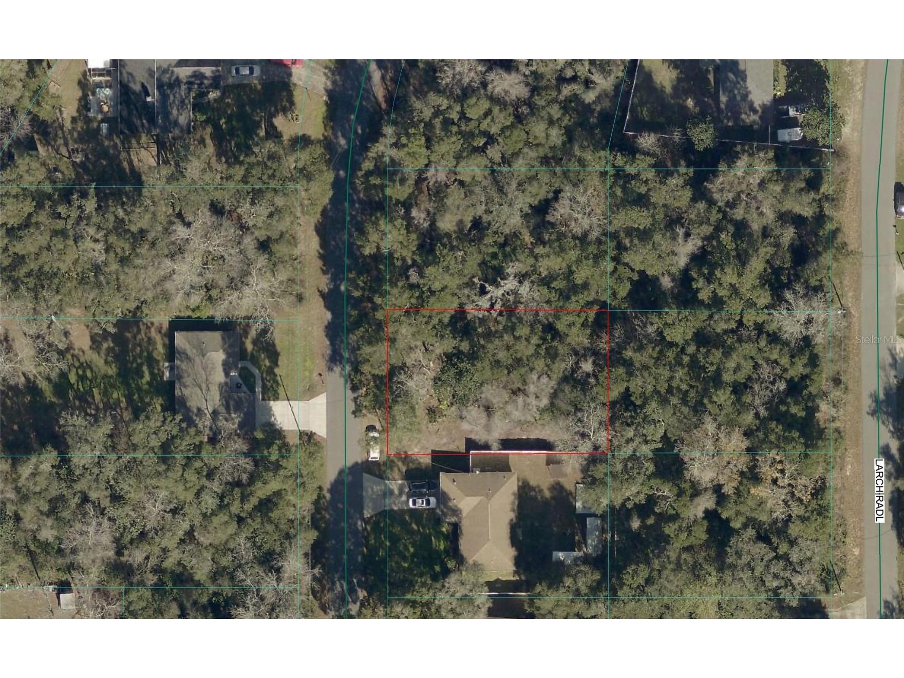 TBD Larch Course Ocala FL 34480 OM722054 image1