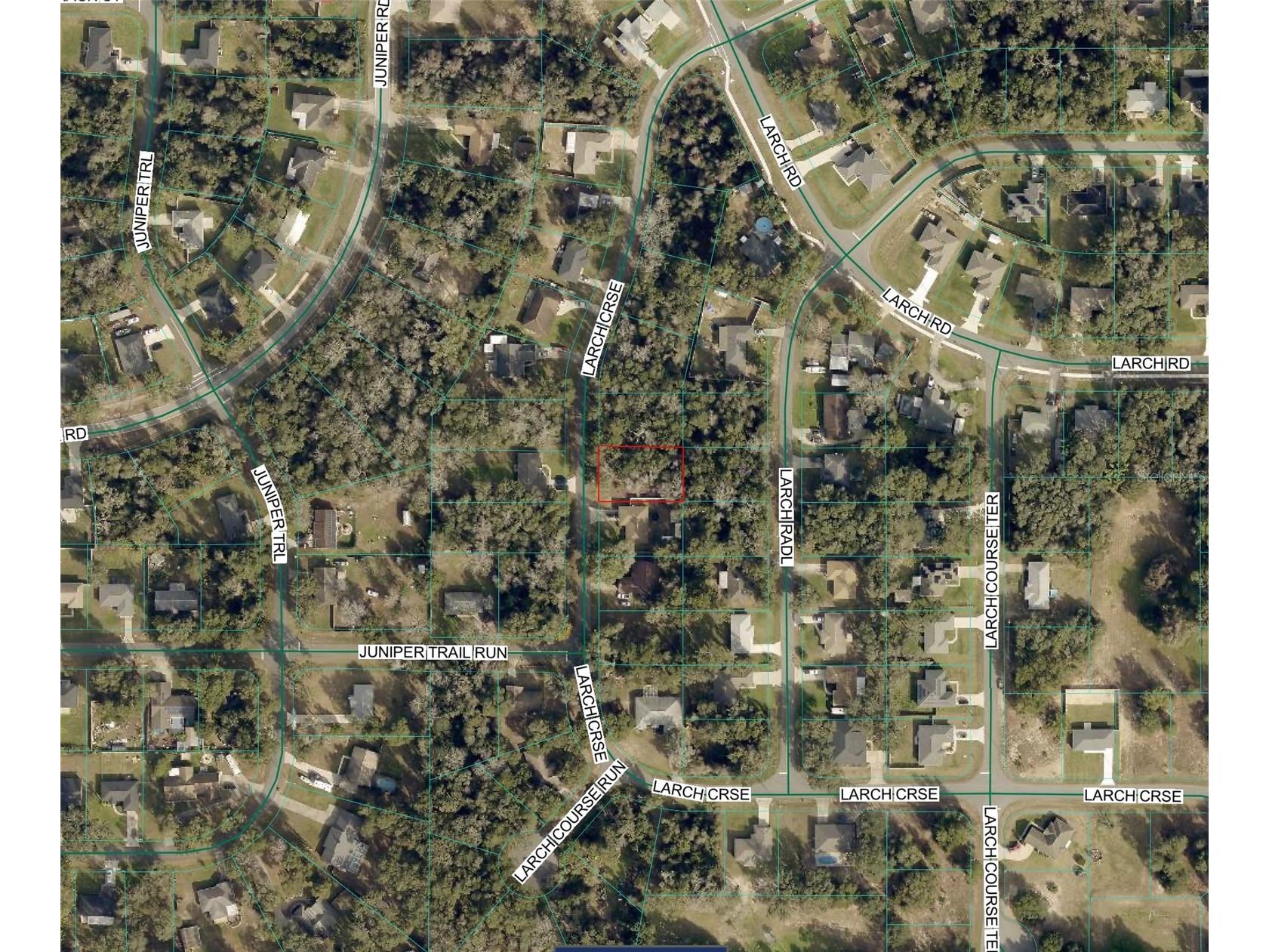 TBD Larch Course Ocala FL 34480 OM722054 image3