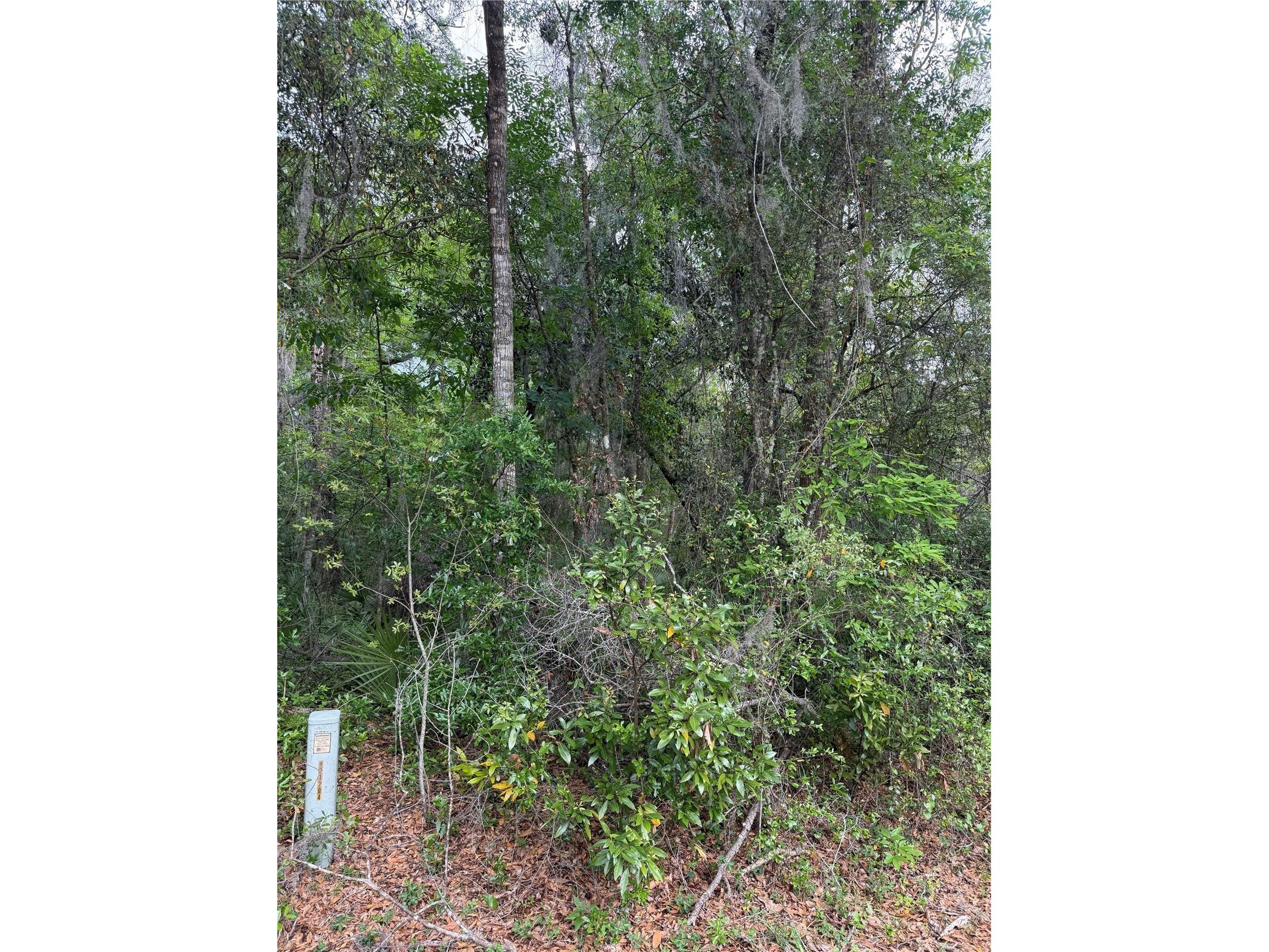 TBD Larch Course Ocala FL 34480 OM722054 image4