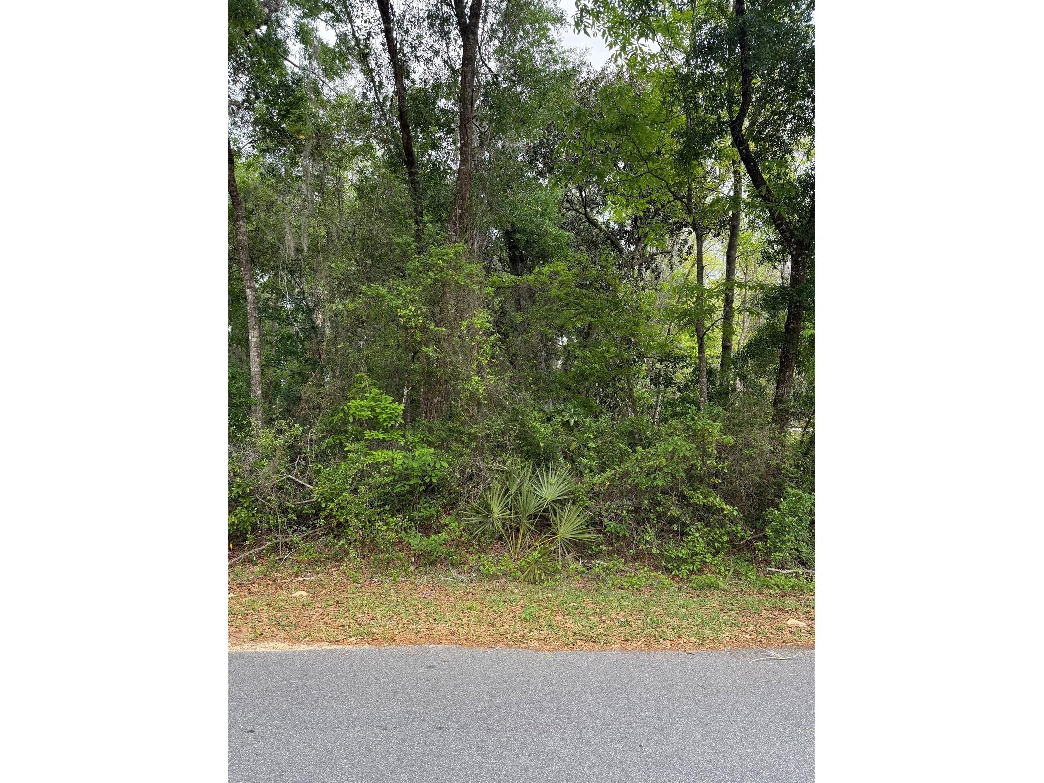 TBD Larch Course Ocala FL 34480 OM722054 image5