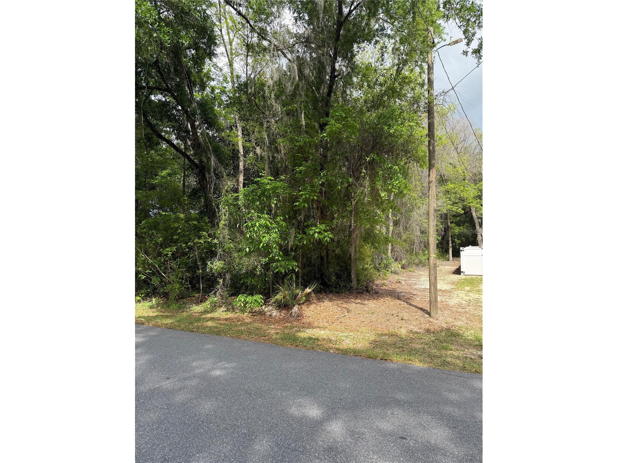 TBD Larch Course Ocala FL 34480 OM722054 image7