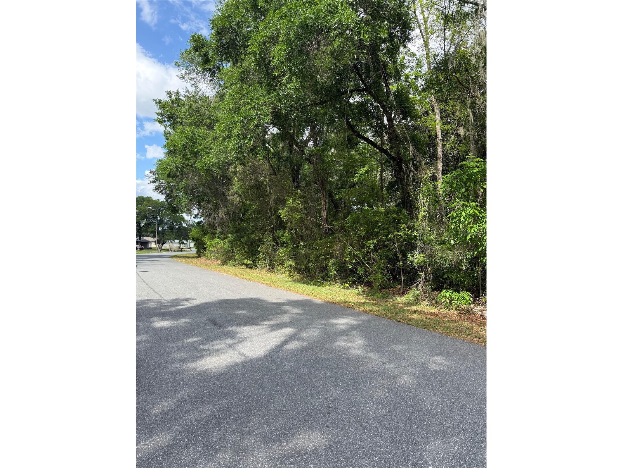 TBD Larch Course Ocala FL 34480 OM722054 image8