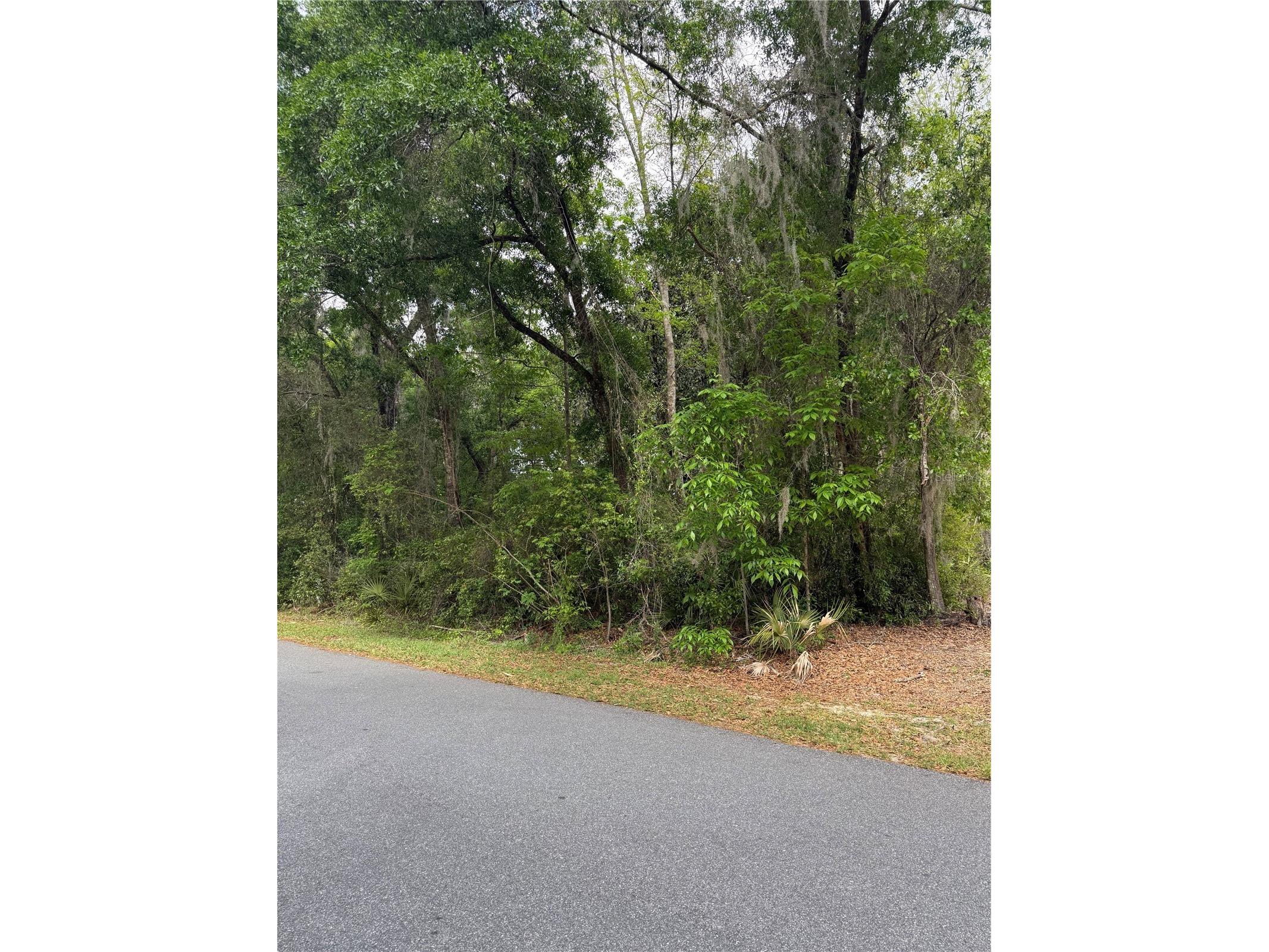 TBD Larch Course Ocala FL 34480 OM722054 image9