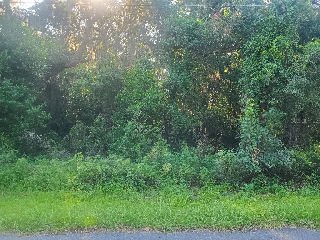 TBD Larch Course Terrace Ocala FL 34480 OM660566 image1