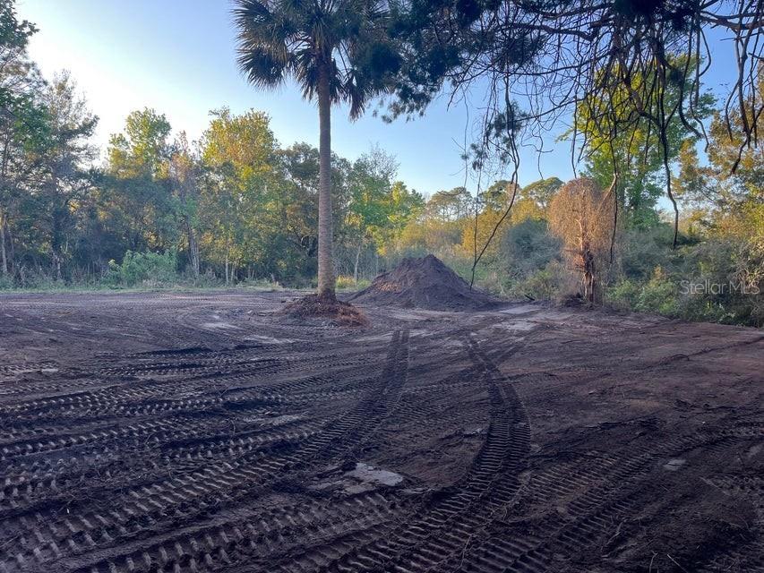 TBD Lawrence Road Mims FL 32754 OK225237 image11