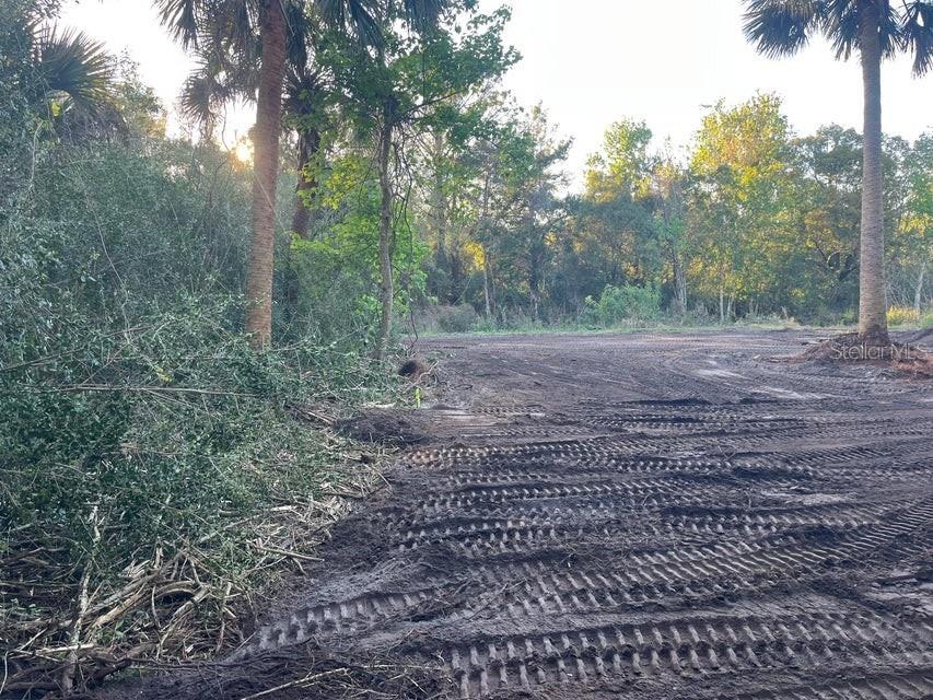 TBD Lawrence Road Mims FL 32754 OK225237 image12