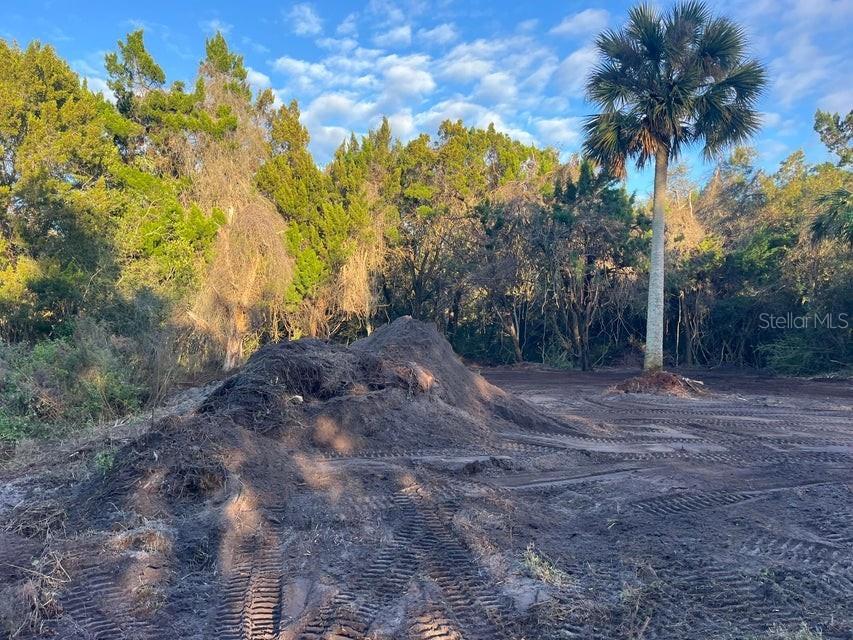 TBD Lawrence Road Mims FL 32754 OK225237 image4