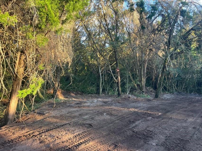 TBD Lawrence Road Mims FL 32754 OK225237 image9