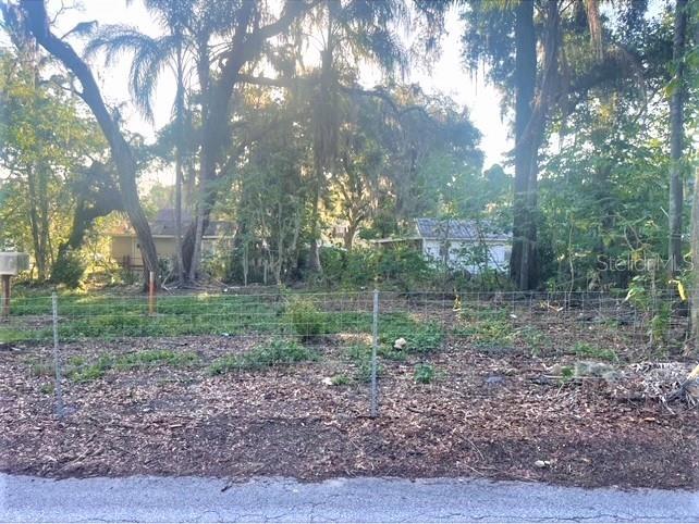 TBD Lime Avenue #613 Seffner FL 33584 OM657510 image1