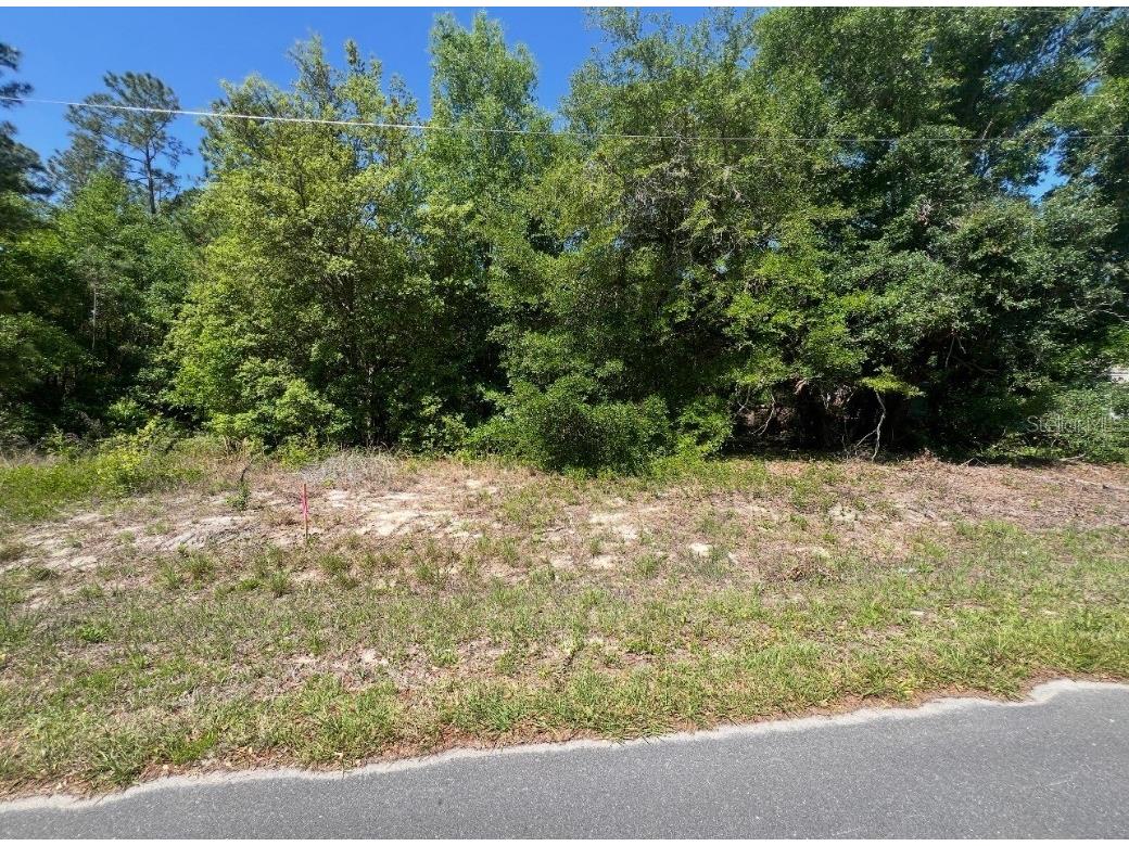 TBD Locust Course Radial Lot 20 Ocala FL 34472 OM704481 image1
