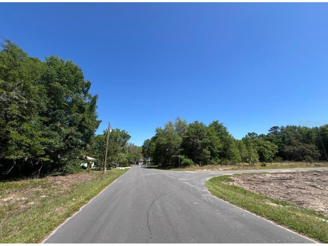 TBD Locust Course Radial Lot 20 Ocala FL 34472 OM704481 image2