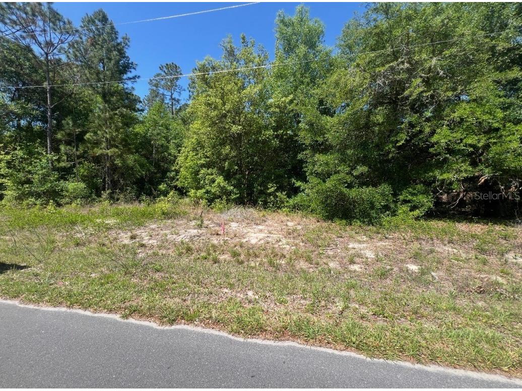 TBD Locust Course Radial Lot 20 Ocala FL 34472 OM704481 image3