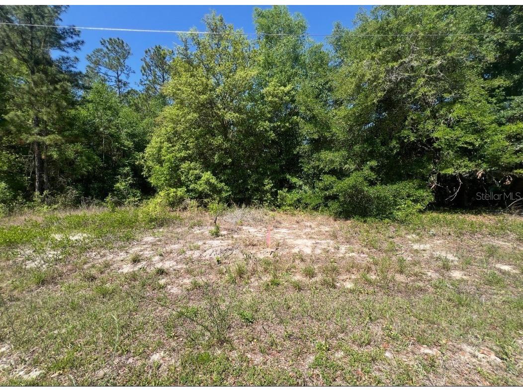 TBD Locust Course Radial Lot 20 Ocala FL 34472 OM704481 image4