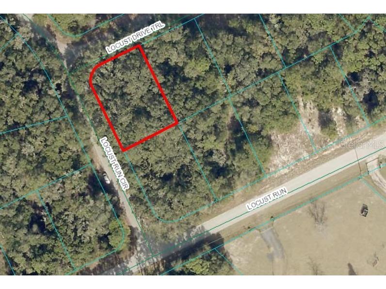 TBD Locust Drive Trail Ocala FL 34472 OM699381 image1