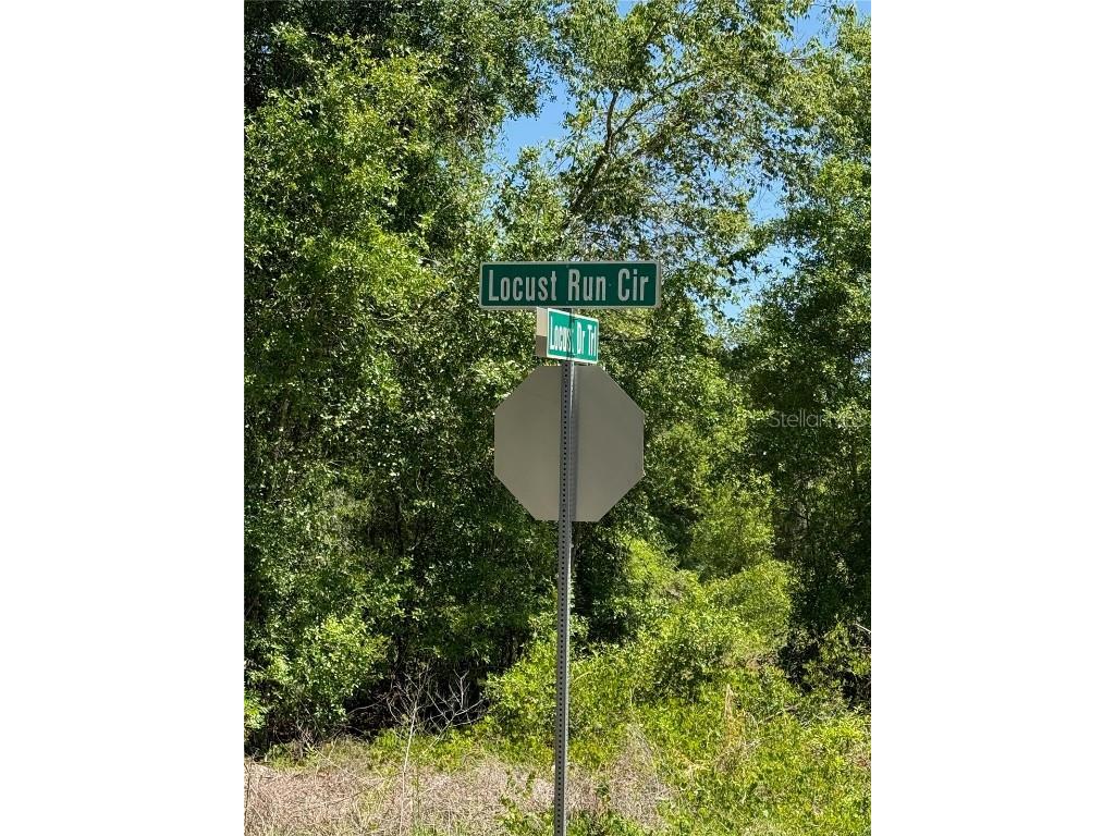 TBD Locust Drive Trail Ocala FL 34472 OM699381 image10