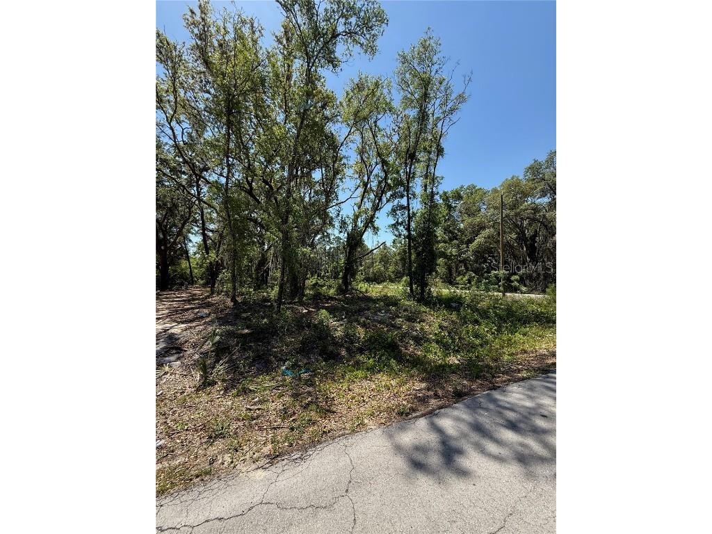 TBD Locust Drive Trail Ocala FL 34472 OM699381 image11