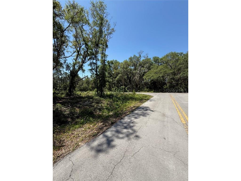 TBD Locust Drive Trail Ocala FL 34472 OM699381 image12