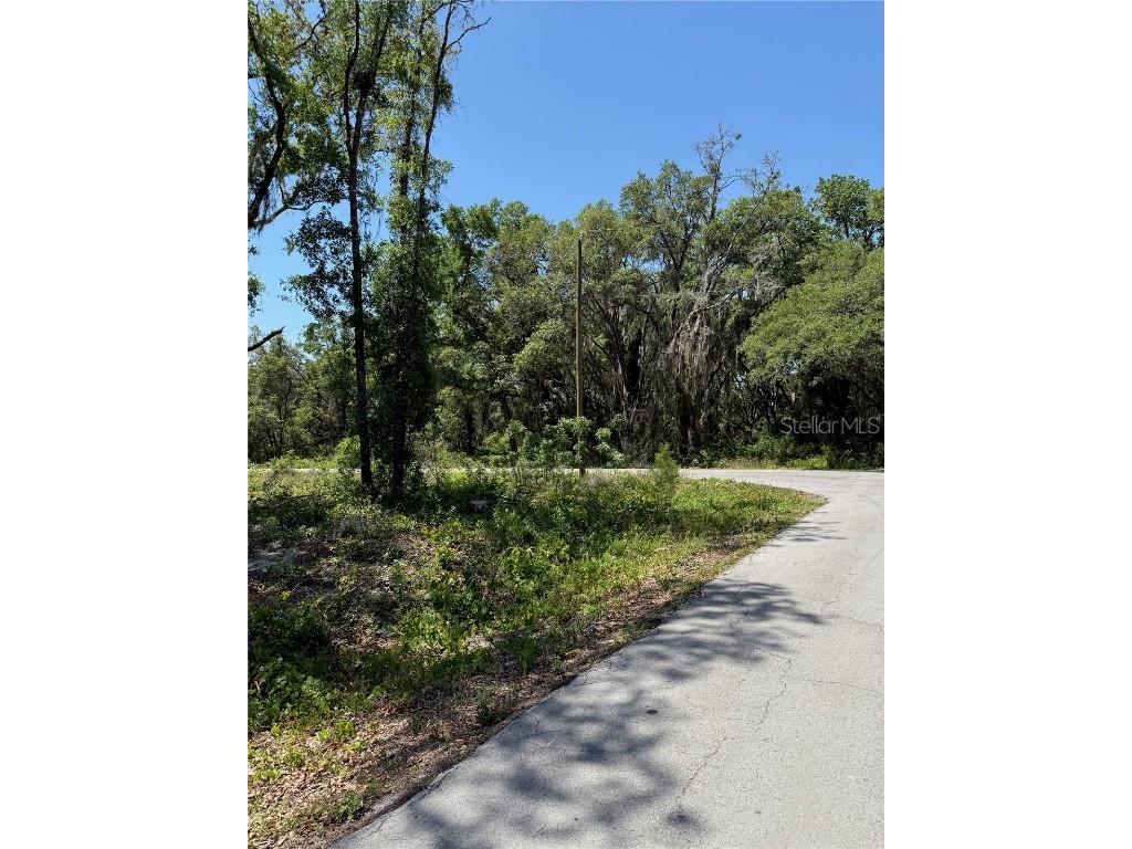 TBD Locust Drive Trail Ocala FL 34472 OM699381 image13