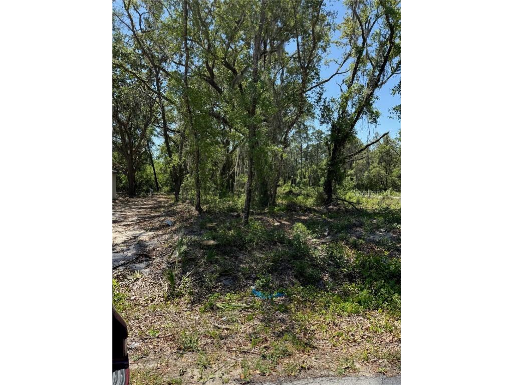 TBD Locust Drive Trail Ocala FL 34472 OM699381 image14
