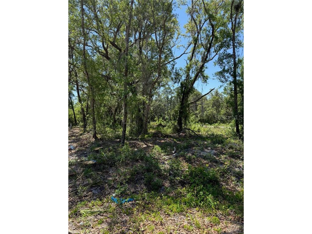 TBD Locust Drive Trail Ocala FL 34472 OM699381 image15