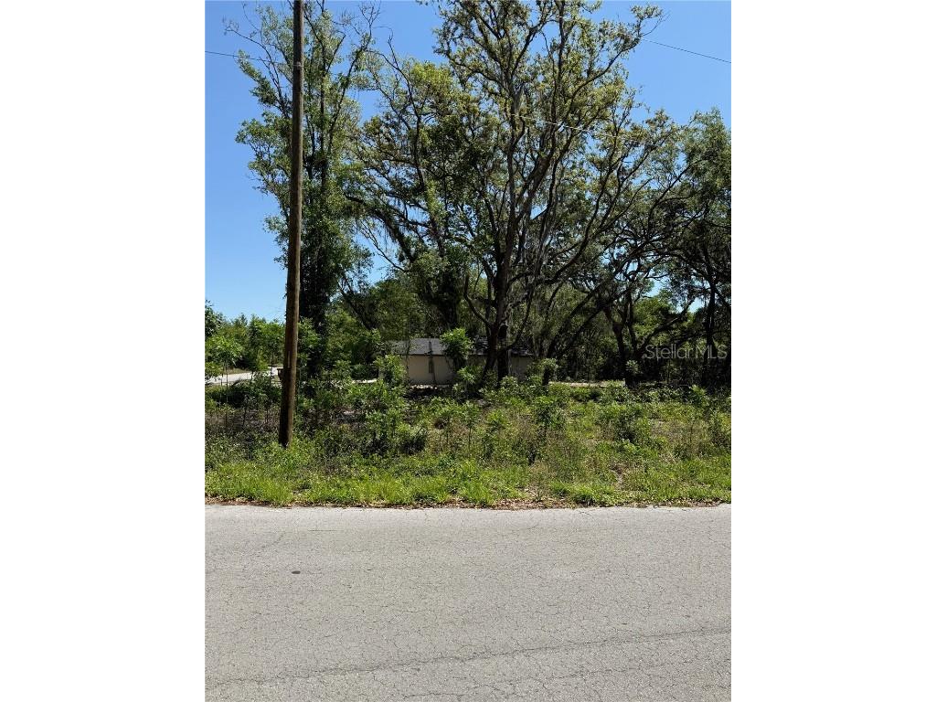 TBD Locust Drive Trail Ocala FL 34472 OM699381 image3