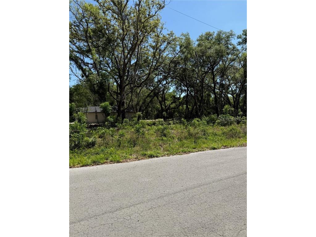 TBD Locust Drive Trail Ocala FL 34472 OM699381 image4