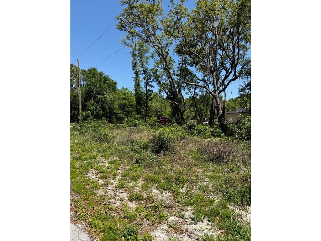 TBD Locust Drive Trail Ocala FL 34472 OM699381 image5