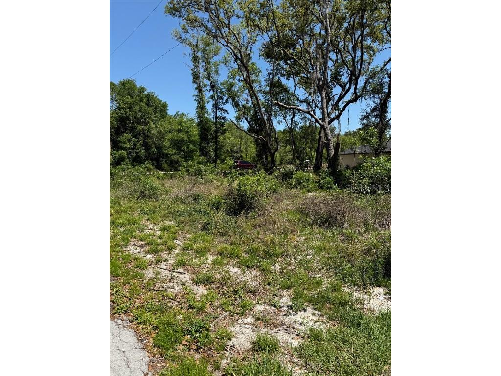 TBD Locust Drive Trail Ocala FL 34472 OM699381 image6