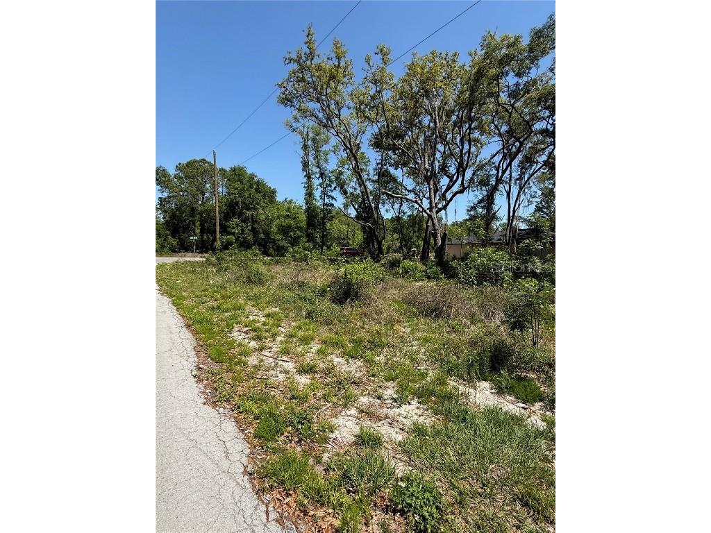 TBD Locust Drive Trail Ocala FL 34472 OM699381 image7