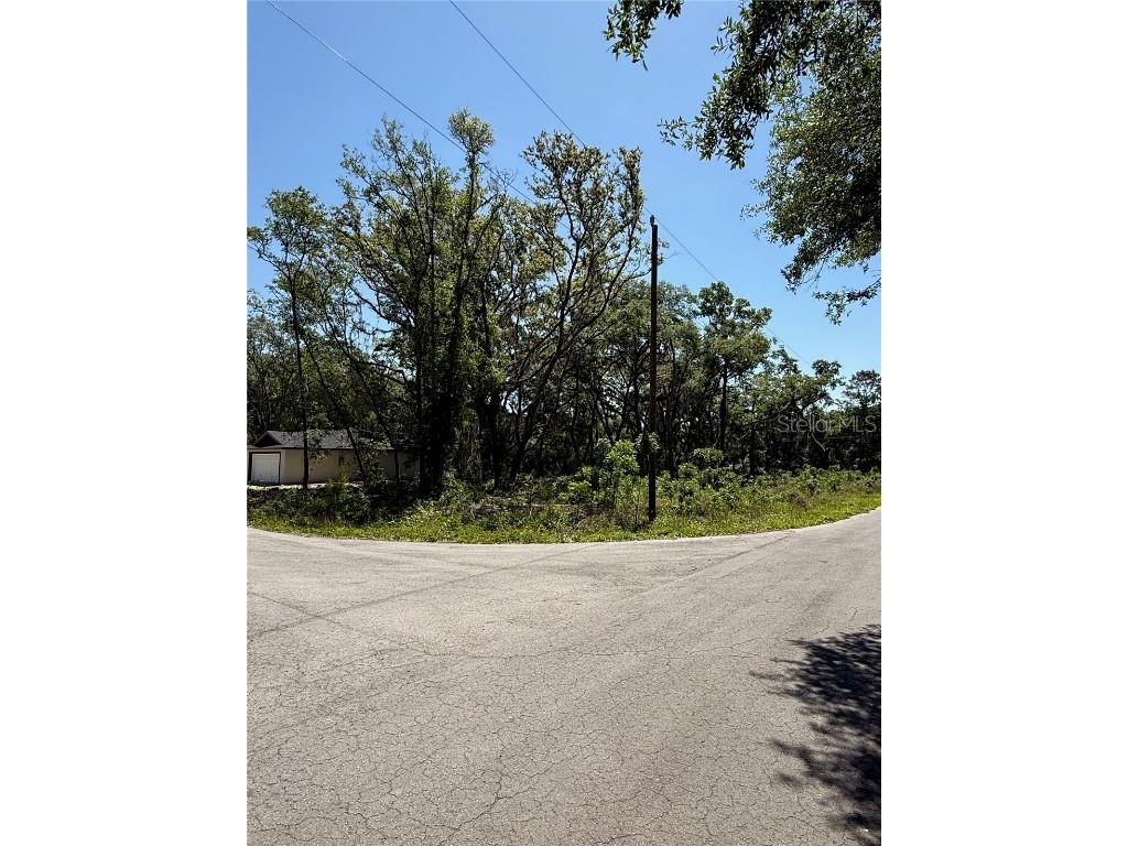 TBD Locust Drive Trail Ocala FL 34472 OM699381 image9