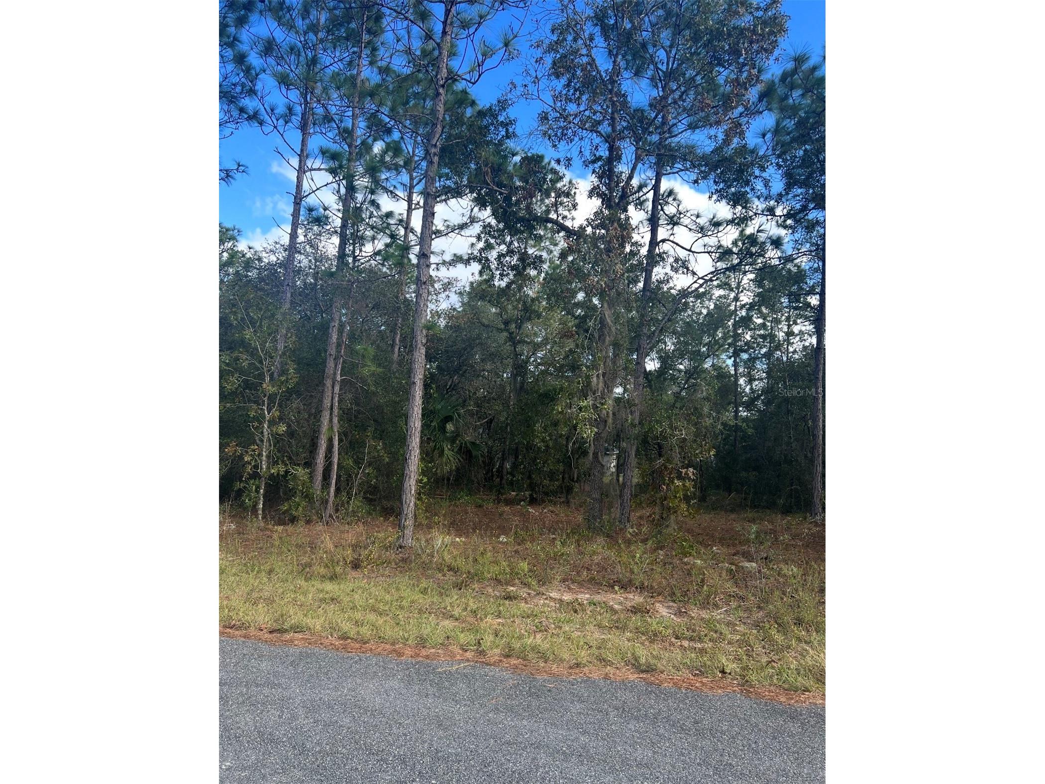 TBD Locust Loop Place Lot 7 Ocala FL 34472 OM704479 image1
