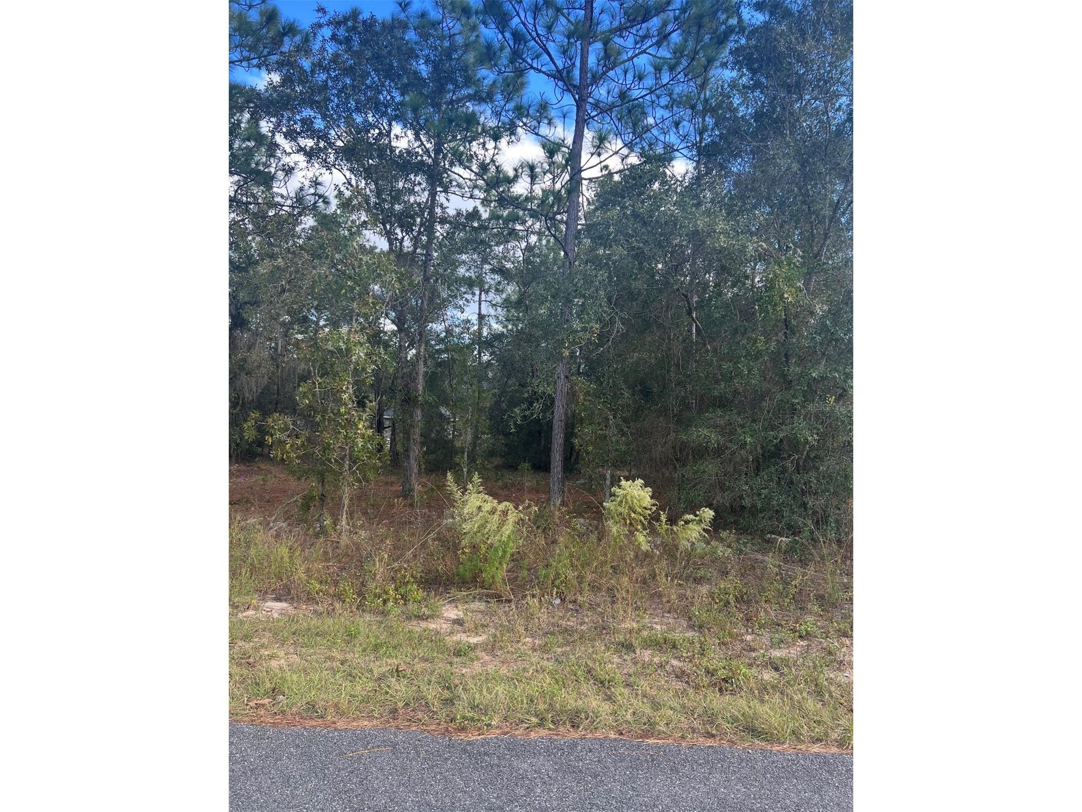 TBD Locust Loop Place Lot 8 Ocala FL 34472 OM704480 image1