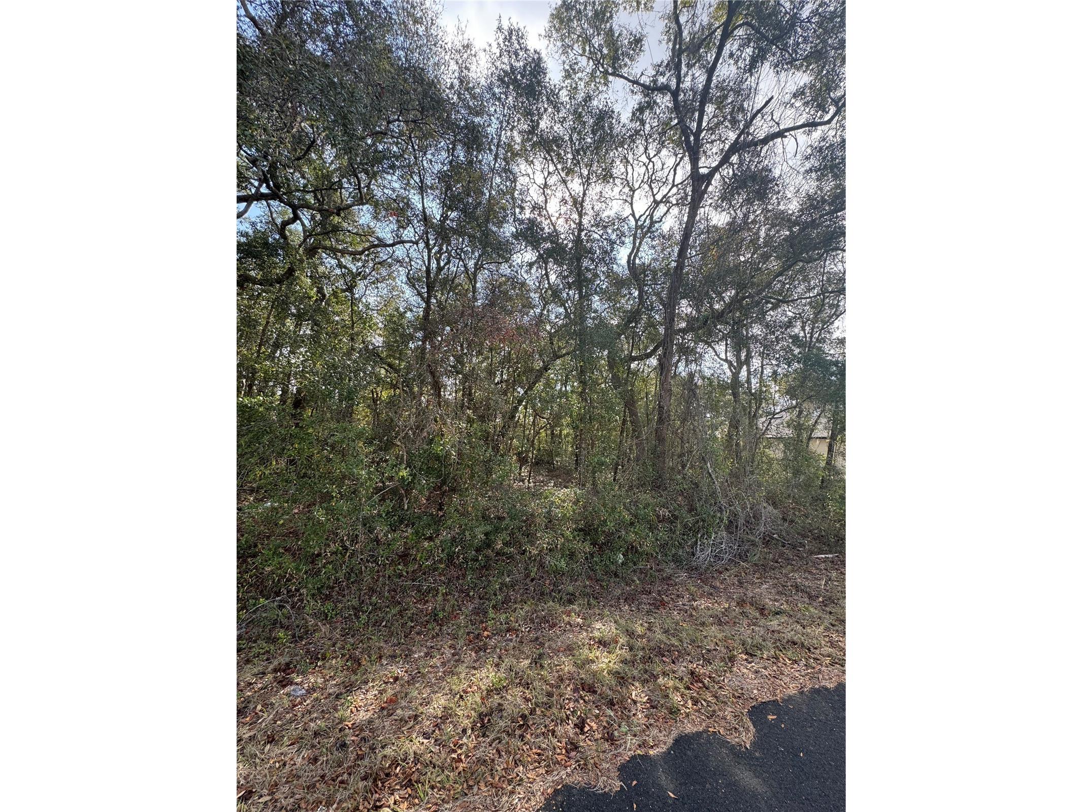 TBD Locust Loop Terrace Ocala FL 34472 OM716157 image1