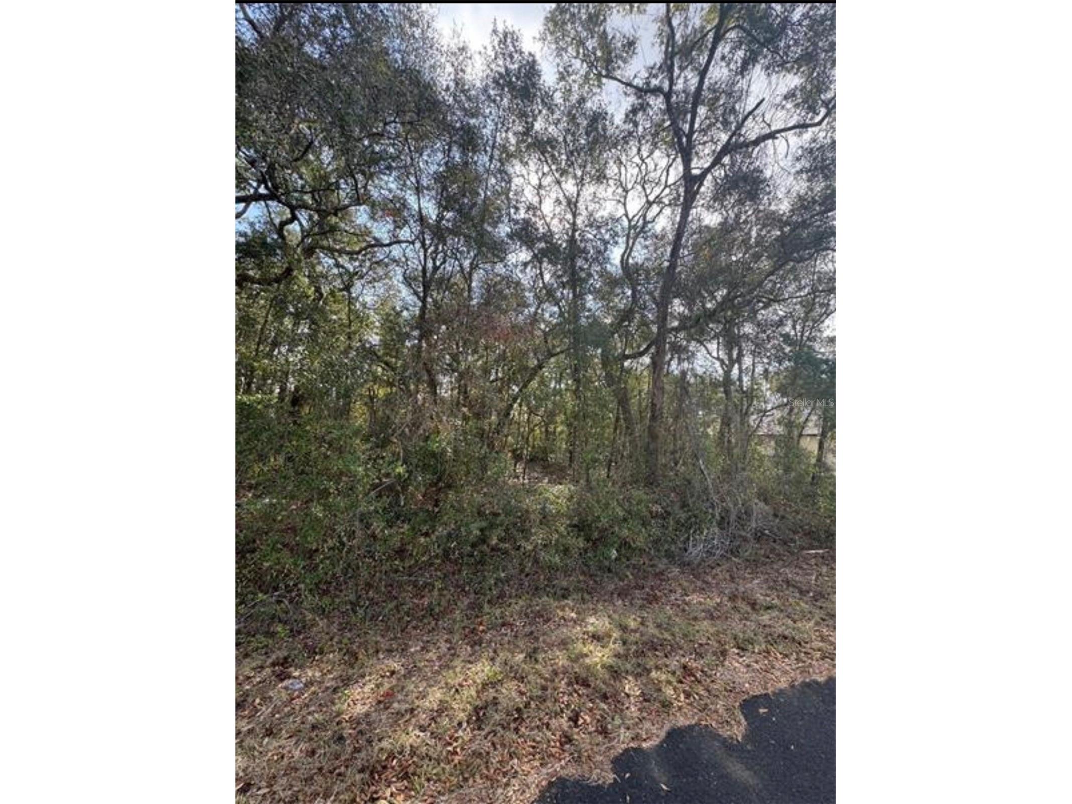 TBD Locust Loop Terrace Ocala FL 34472 OM720445 image1