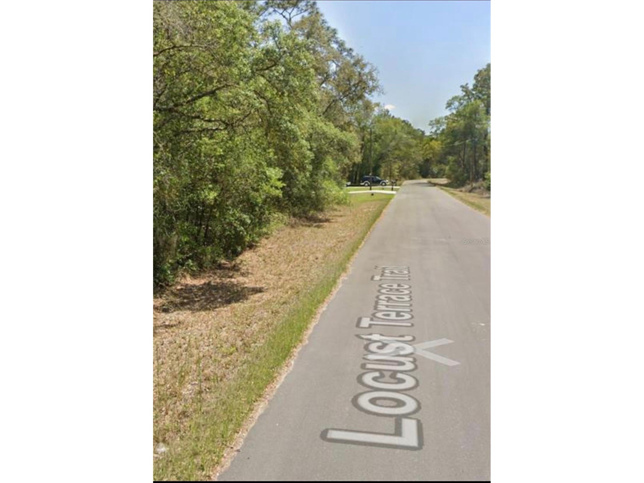 TBD Locust Loop Terrace Ocala FL 34472 OM720445 image3