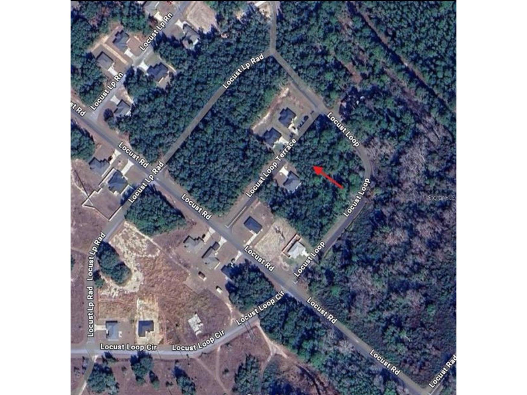 TBD Locust Loop Terrace Ocala FL 34472 OM720445 image4