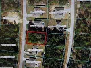 TBD Locust Pass Lane Ocala FL 34472 OM669232 image1