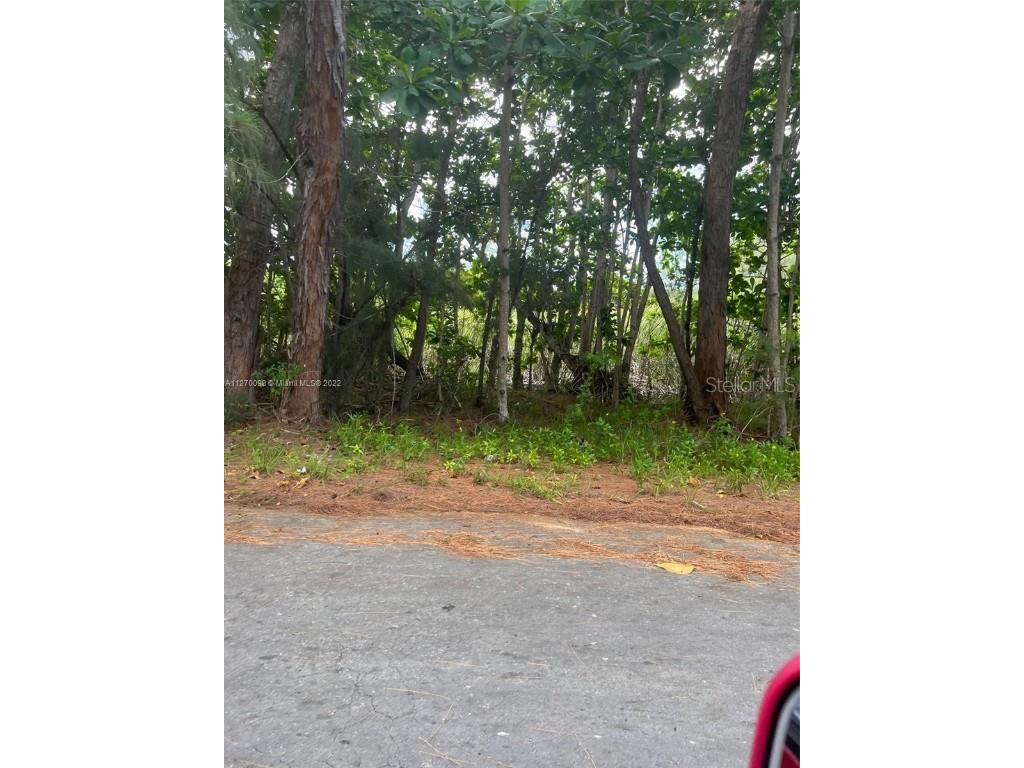 TBD Locust Pass Ocala FL 34472 OM645928 image1