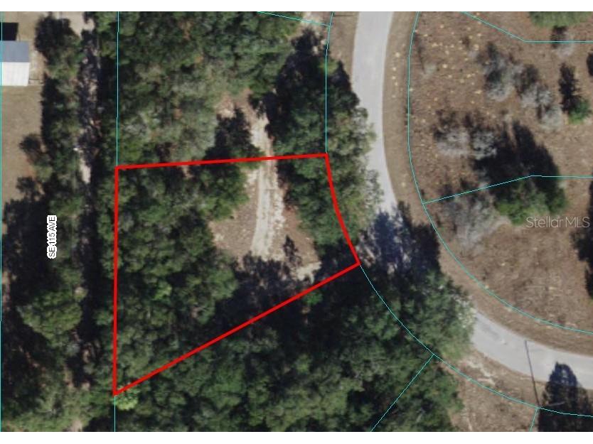 TBD Locust Radial Circle Ocala FL 34472 OM670210 image1