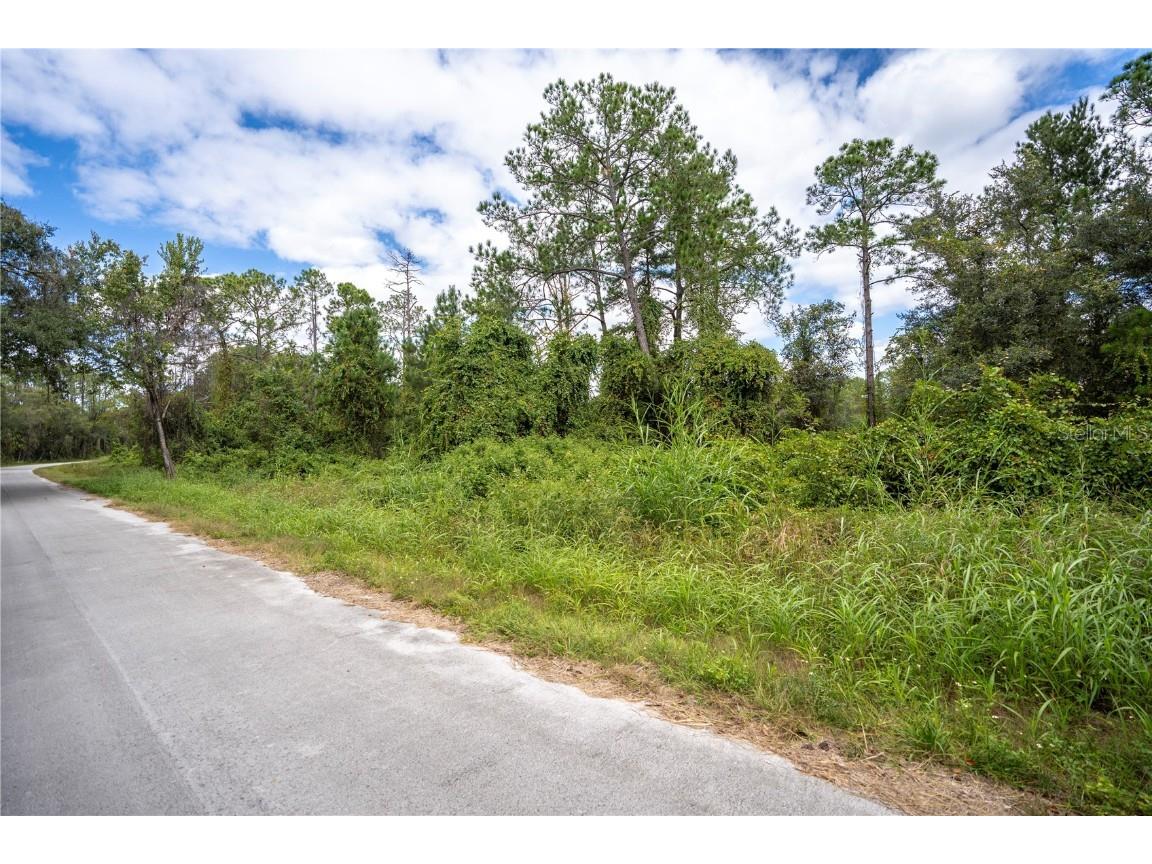 TBD Locust Run Drive Ocala FL 34472 - LAKE AMETHYST OM667265 image1