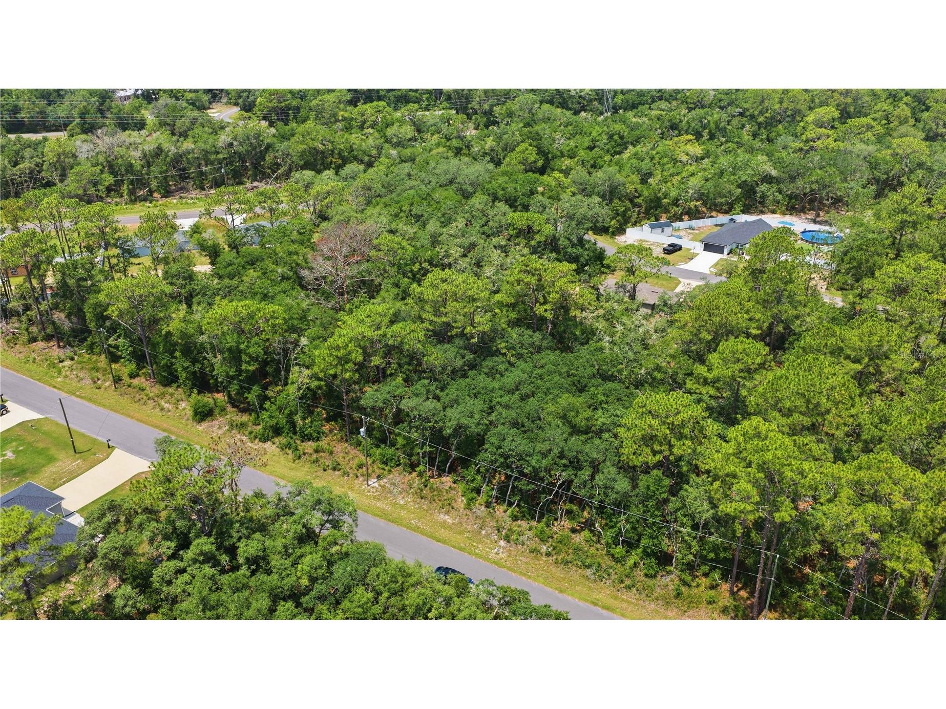 TBD Locust Terrace Trail #LOT 12 Ocala FL 34472 OM727661 image2